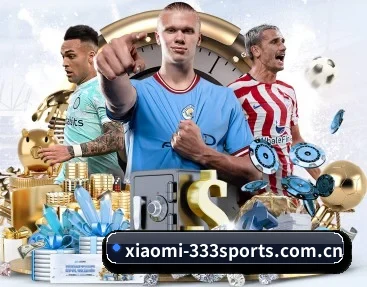 xiaomi-333sports.com.cn APP 深度功能