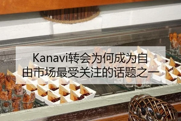 Kanavi转会为何成为自由市场最受关注的话题之一