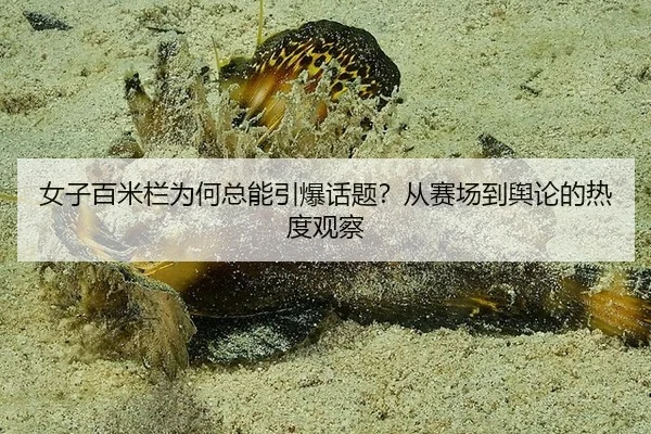 女子百米栏为何总能引爆话题？从赛场到舆论的热度观察